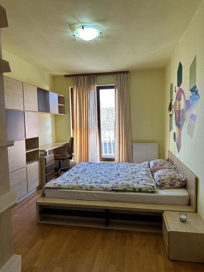 Central Apartment No1 Timişoara Extérieur photo