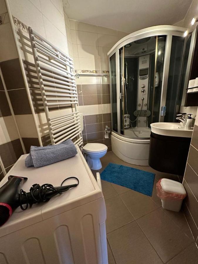 Central Apartment No1 Timişoara Extérieur photo